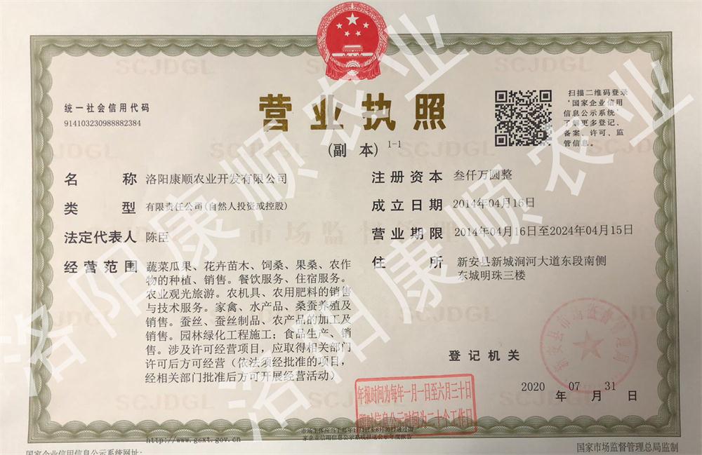 公司营业执照